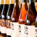Shinshu Tkayama Winery 2016