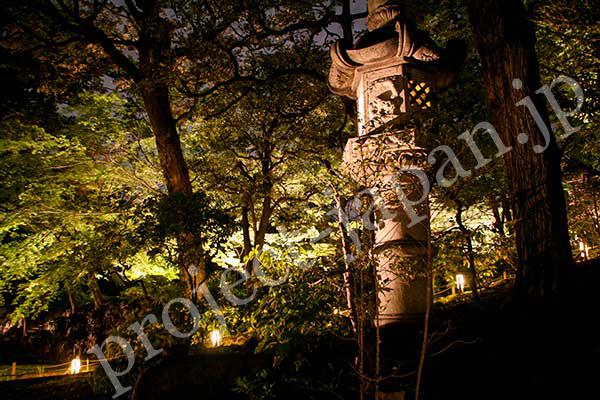 Japanese garden of The former Furukawa Garden 2- a stone-lantern
